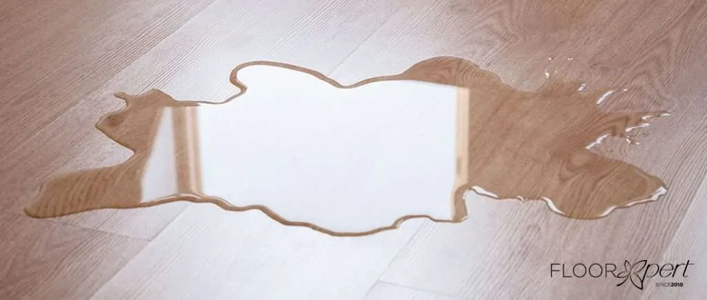 water puddle on vinyl floor