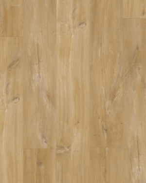 Canyon Oak Natural