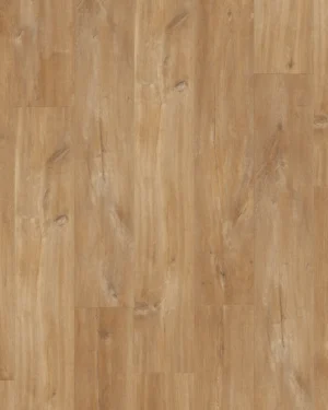 Canyon Oak Natural