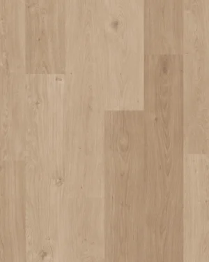 Coast Oak Sand