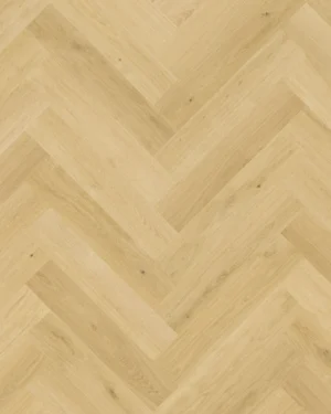 Nutmeg Oak